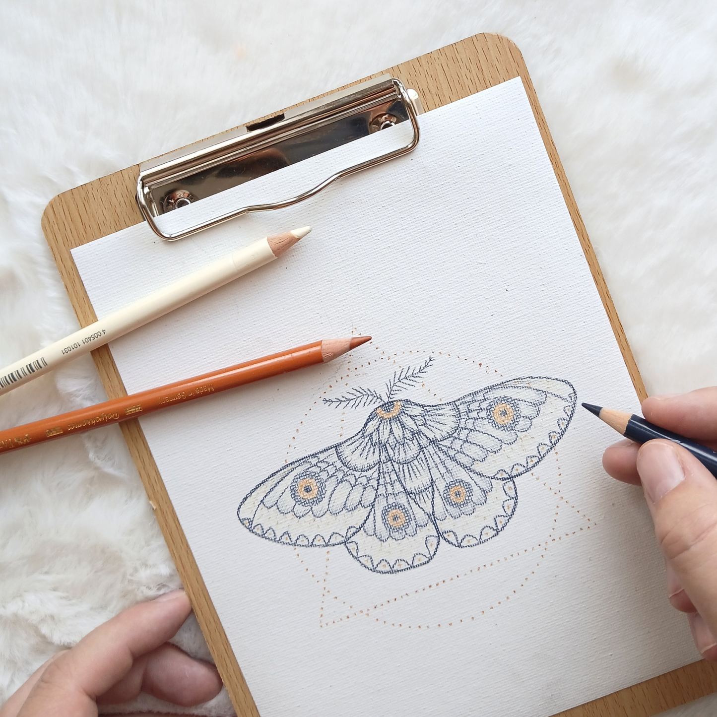 Patron de broderie - Papillon de la Lune